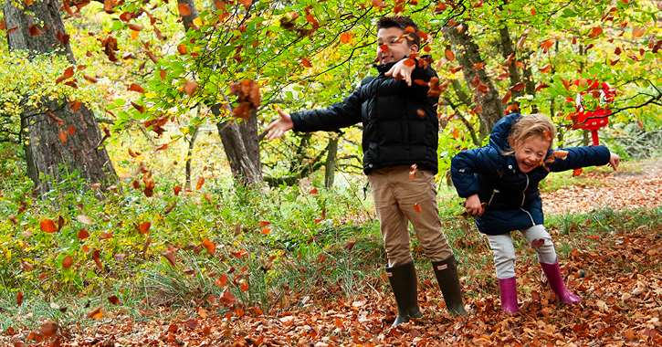 children playing in autumn leaves, county durham